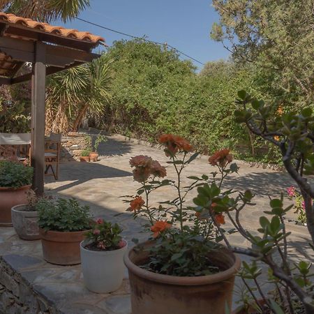 Private Pet Friendly Villa Ajos Nikolaos Zewnętrze zdjęcie