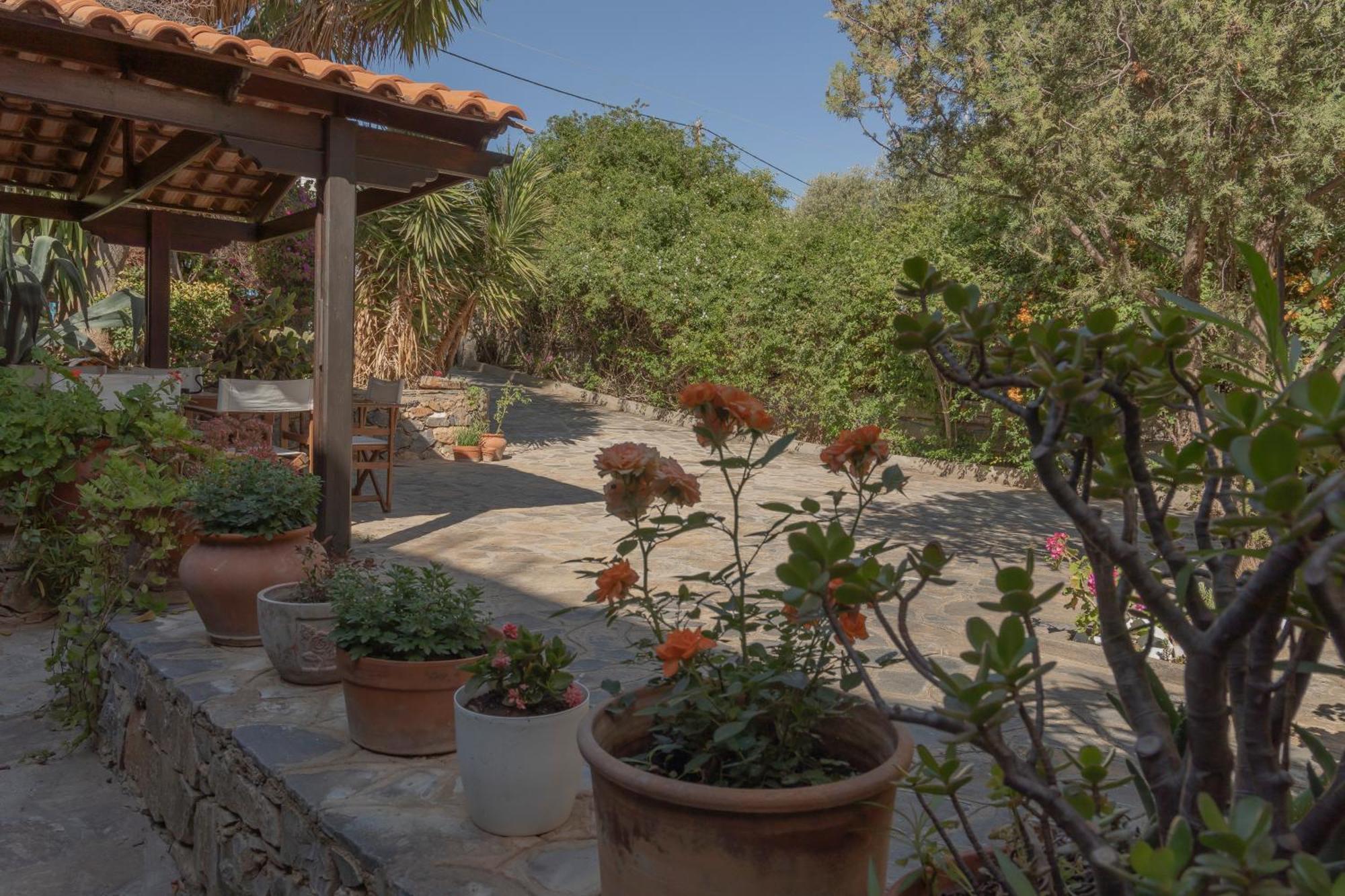 Private Pet Friendly Villa Ajos Nikolaos Zewnętrze zdjęcie