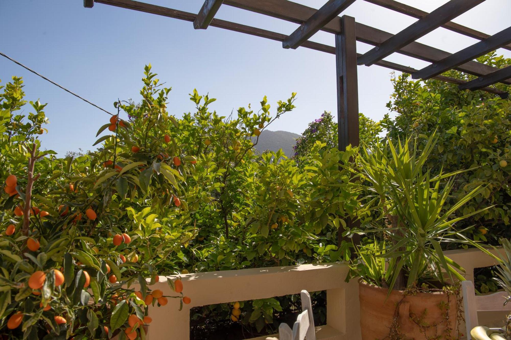 Private Pet Friendly Villa Ajos Nikolaos Zewnętrze zdjęcie